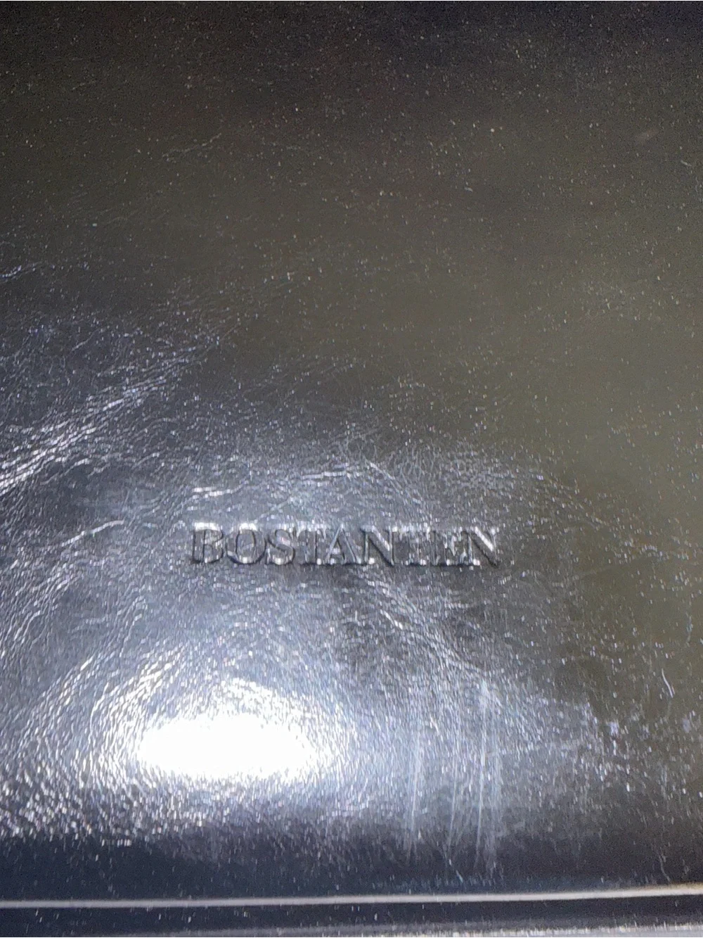 Bostanten Carol Women's Black Leather Briefcase — Capable